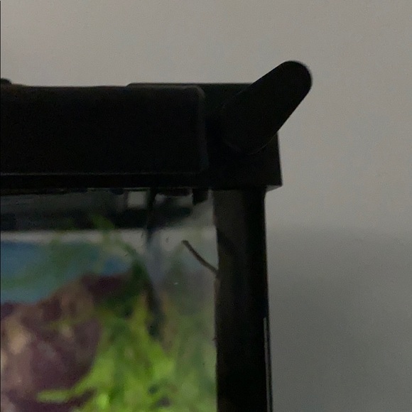 Reptile (leopard Gecko) Tank - Picture 5 of 6